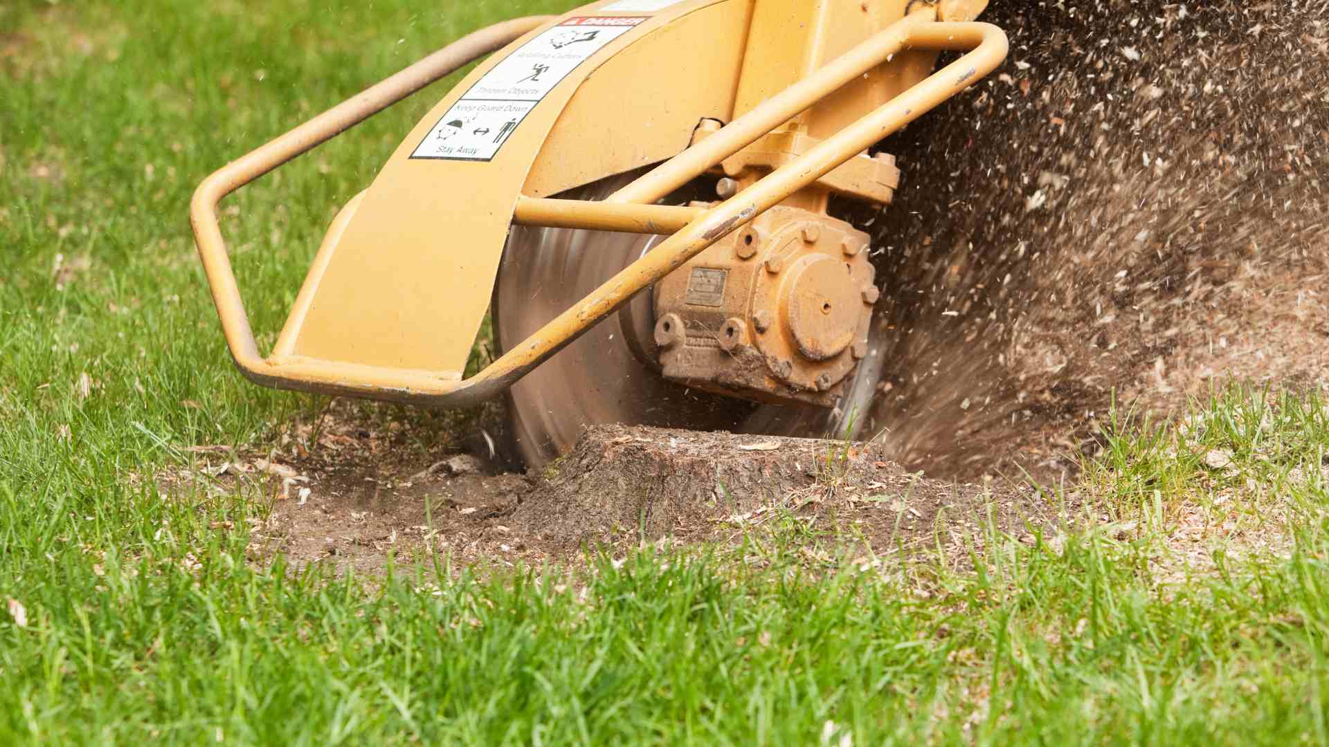 Stump-Removal